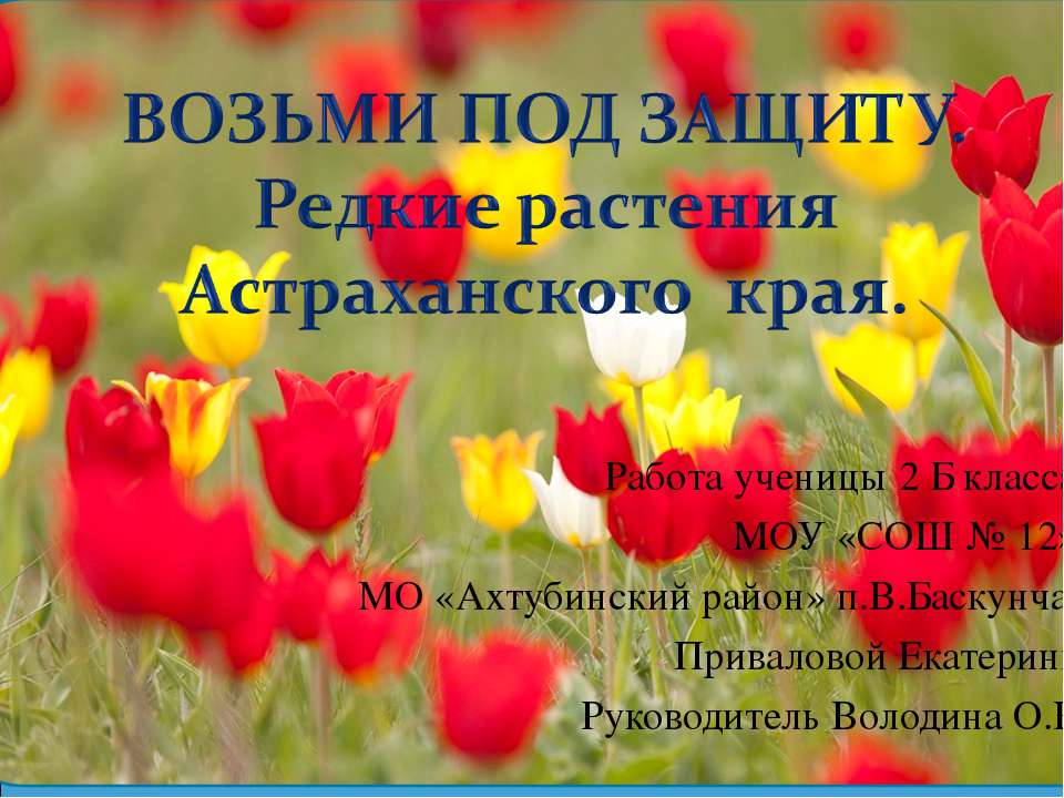 Возьми под защиту. Редкие растения Астраханского края  - Скачать презентации бесплатно | Читать или скачать учебники для школы онлайн бесплатно ☑ Школьные учебники school-textbook.com
