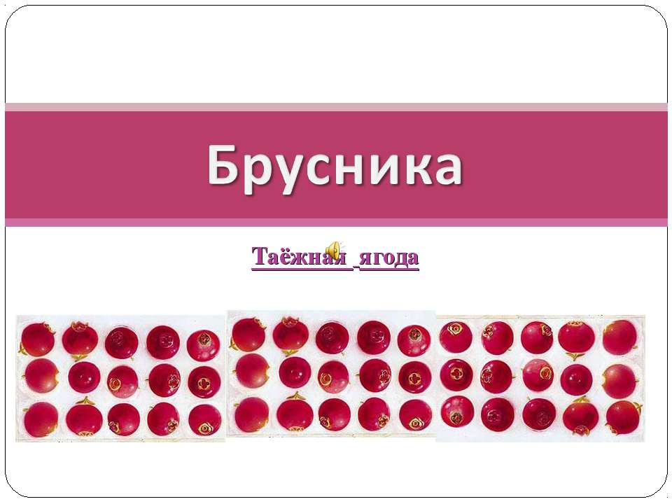 Брусника-таёжная ягода - Скачать презентации бесплатно ☑ Презентации по предметам на gdz-books.ru