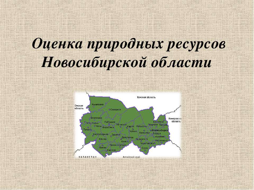 Оценка природных ресурсов Новосибирской области  - Скачать презентации бесплатно | Читать или скачать учебники для школы онлайн бесплатно ☑ Школьные учебники school-textbook.com