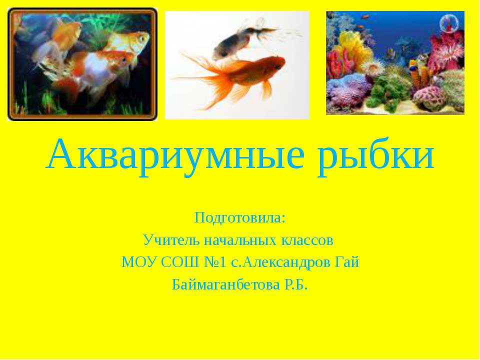 Аквариумные рыбки - Скачать презентации бесплатно ☑ Презентации по предметам на gdz-books.ru