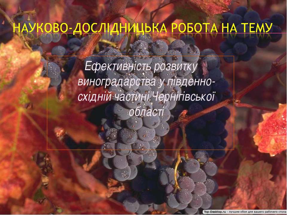 НДР Ефективність розвитку виноградарства  - Скачать презентации бесплатно | Читать или скачать учебники для школы онлайн бесплатно ☑ Школьные учебники school-textbook.com