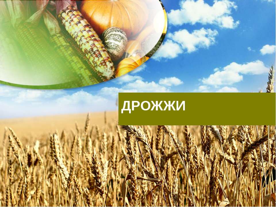 ДРОЖЖИ - Скачать презентации бесплатно ☑ Презентации по предметам на gdz-books.ru