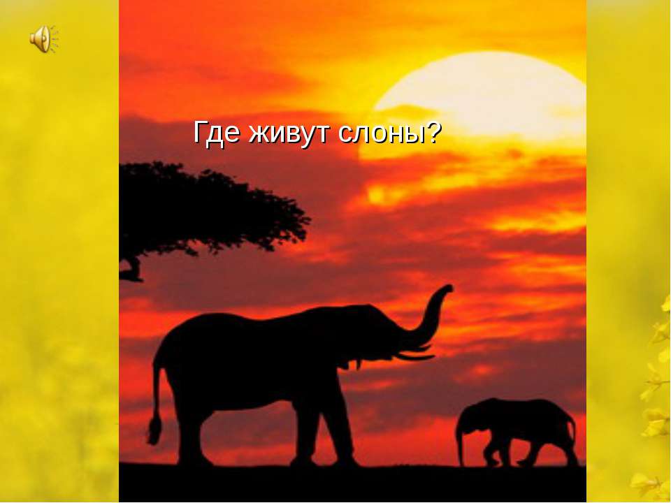Где живут слоны?  - Скачать презентации бесплатно | Читать или скачать учебники для школы онлайн бесплатно ☑ Школьные учебники school-textbook.com