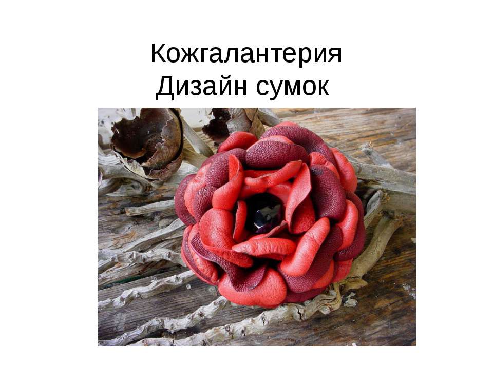 Кожгалантерия Дизайн сумок  - Скачать презентации бесплатно | Читать или скачать учебники для школы онлайн бесплатно ☑ Школьные учебники school-textbook.com