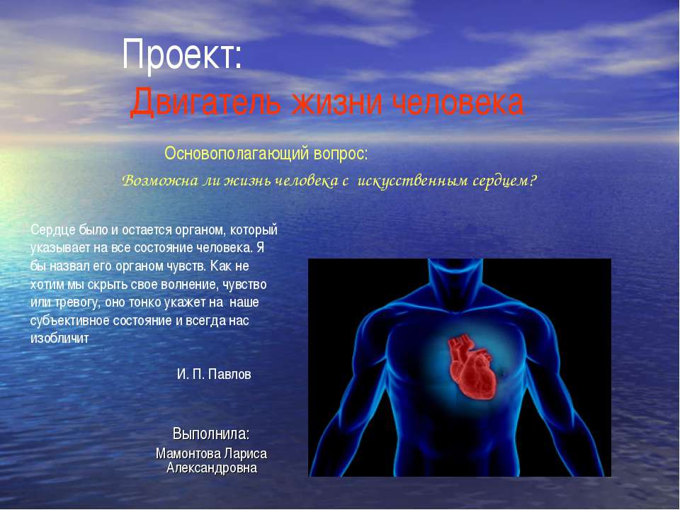 Двигатель жизни человека  - Скачать презентации бесплатно | Читать или скачать учебники для школы онлайн бесплатно ☑ Школьные учебники school-textbook.com