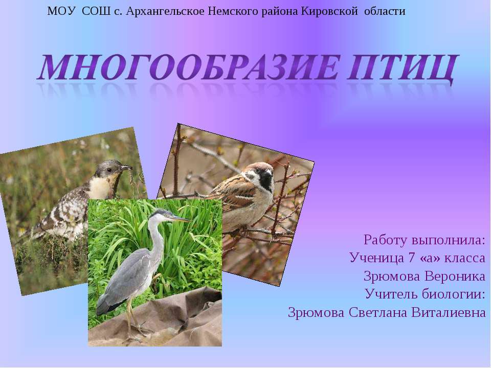 Многообразие птиц 7 класс  - Скачать презентации бесплатно | Читать или скачать учебники для школы онлайн бесплатно ☑ Школьные учебники school-textbook.com