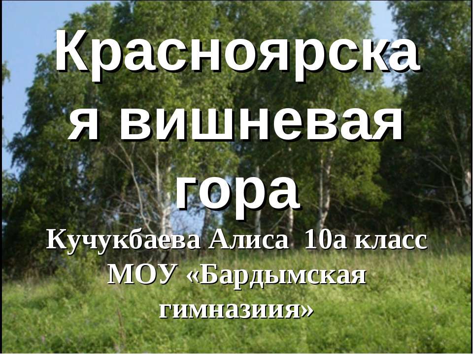 Красноярская вишневая гора - Скачать презентации бесплатно ☑ Презентации по предметам на gdz-books.ru