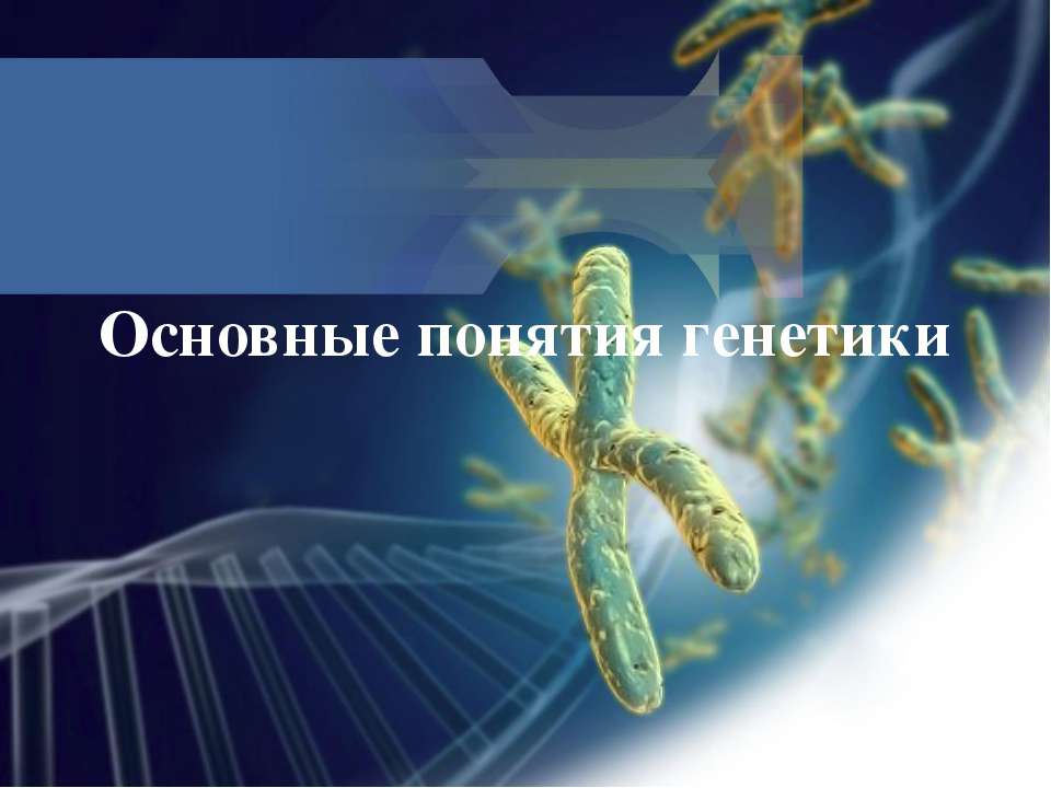 Основные понятия генетики - Скачать презентации бесплатно ☑ Презентации по предметам на gdz-books.ru