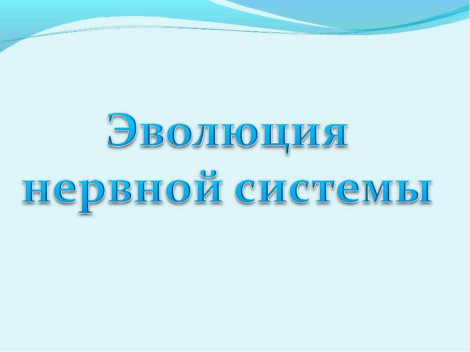 Эволюция нервной системы  - Скачать презентации бесплатно | Читать или скачать учебники для школы онлайн бесплатно ☑ Школьные учебники school-textbook.com