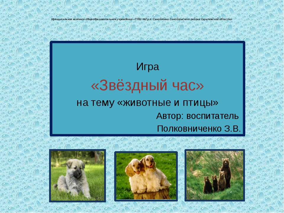 Игра «Звёздный час» на тему «животные и птицы»  - Скачать презентации бесплатно | Читать или скачать учебники для школы онлайн бесплатно ☑ Школьные учебники school-textbook.com