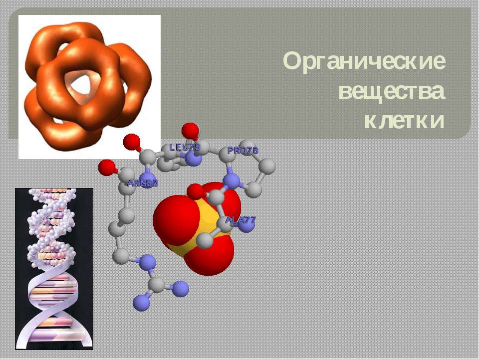 Органические вещества клетки - Скачать презентации бесплатно ☑ Презентации по предметам на gdz-books.ru