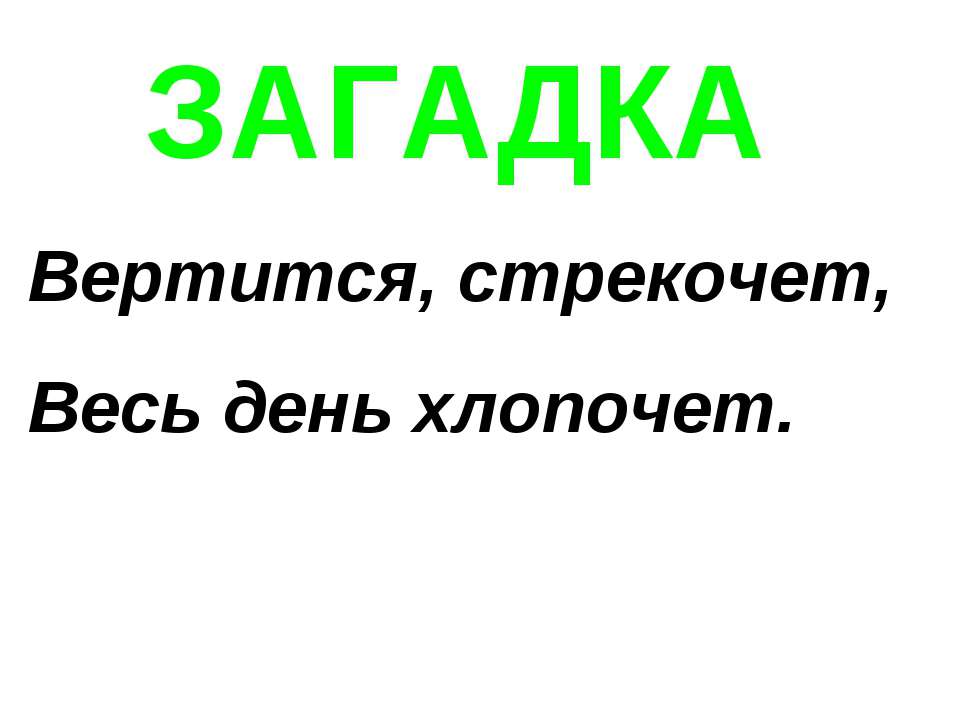 ЗАГАДКА "Собака"  - Скачать презентации бесплатно | Читать или скачать учебники для школы онлайн бесплатно ☑ Школьные учебники school-textbook.com