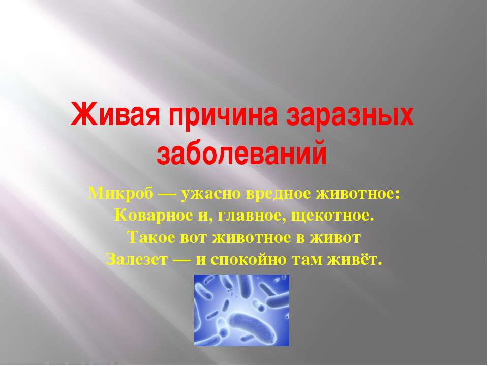 Живая причина заразных заболеваний  - Скачать презентации бесплатно | Читать или скачать учебники для школы онлайн бесплатно ☑ Школьные учебники school-textbook.com