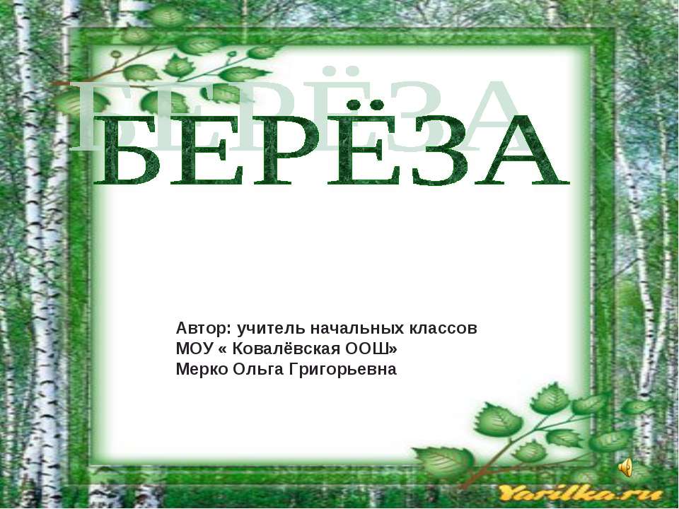 Берёза - Скачать презентации бесплатно ☑ Презентации по предметам на gdz-books.ru