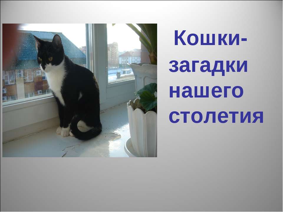 Кошки - загадки нашего столетия  - Скачать презентации бесплатно | Читать или скачать учебники для школы онлайн бесплатно ☑ Школьные учебники school-textbook.com