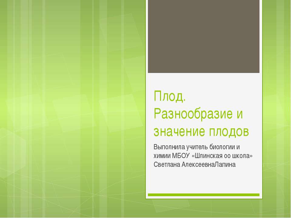 Плод. Разнообразие и значение плодов  - Скачать презентации бесплатно | Читать или скачать учебники для школы онлайн бесплатно ☑ Школьные учебники school-textbook.com