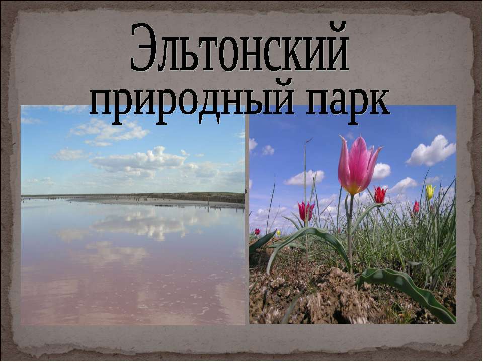Эльтонский природный парк  - Скачать презентации бесплатно | Читать или скачать учебники для школы онлайн бесплатно ☑ Школьные учебники school-textbook.com