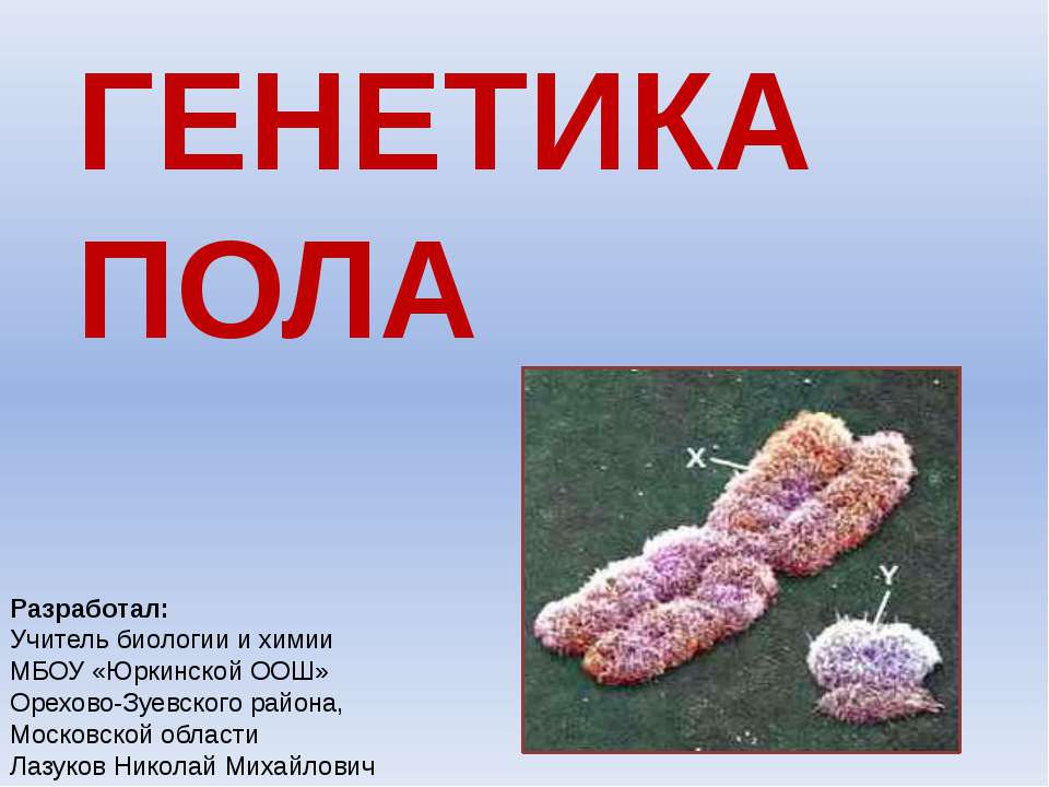 Генетика пола - Скачать презентации бесплатно ☑ Презентации по предметам на gdz-books.ru