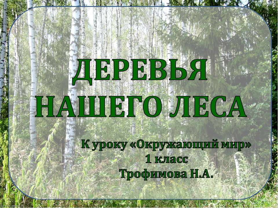 Деревья нашего леса 1 класс  - Скачать презентации бесплатно | Читать или скачать учебники для школы онлайн бесплатно ☑ Школьные учебники school-textbook.com