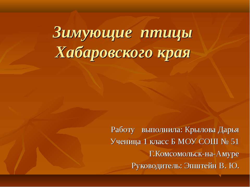 Зимующие птицы Хабаровского края (1 класс)  - Скачать презентации бесплатно | Читать или скачать учебники для школы онлайн бесплатно ☑ Школьные учебники school-textbook.com