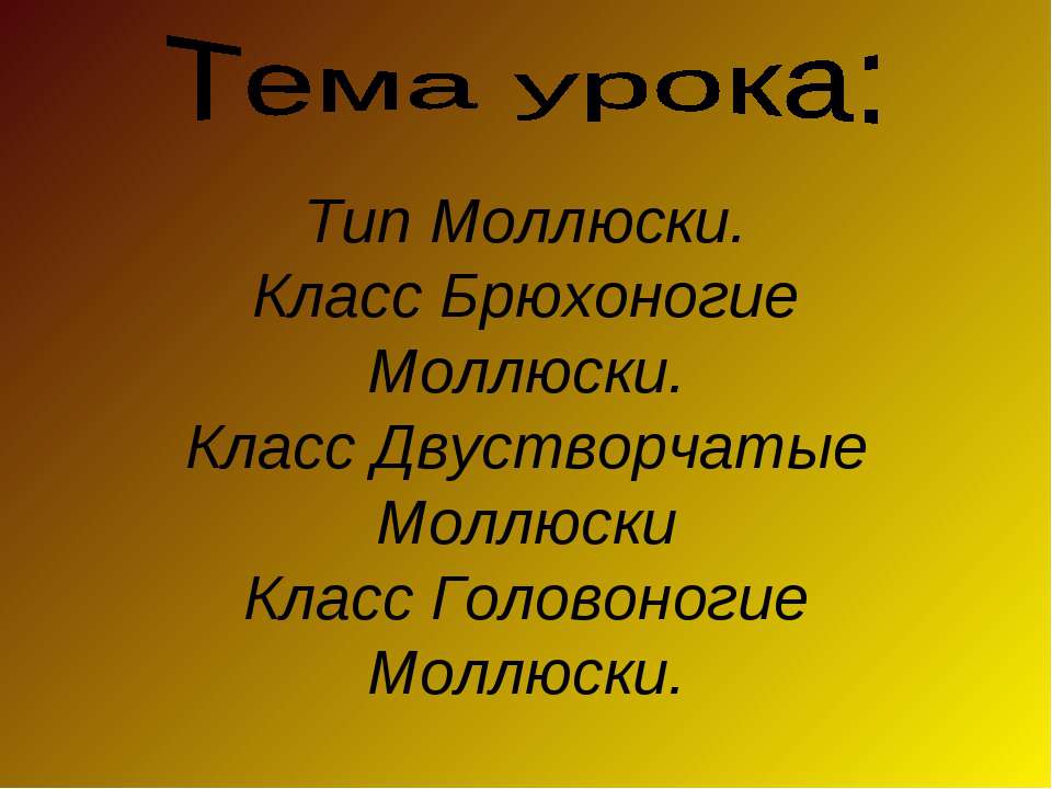 Тип Моллюски. Класс Брюхоногие Моллюски. Класс Двустворчатые Моллюски ласс Головоногие Моллюски  - Скачать презентации бесплатно | Читать или скачать учебники для школы онлайн бесплатно ☑ Школьные учебники school-textbook.com