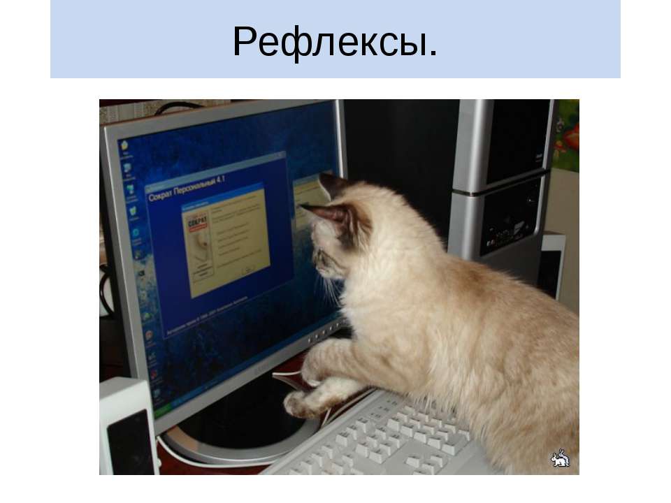 Рефлексы - Скачать презентации бесплатно ☑ Презентации по предметам на gdz-books.ru