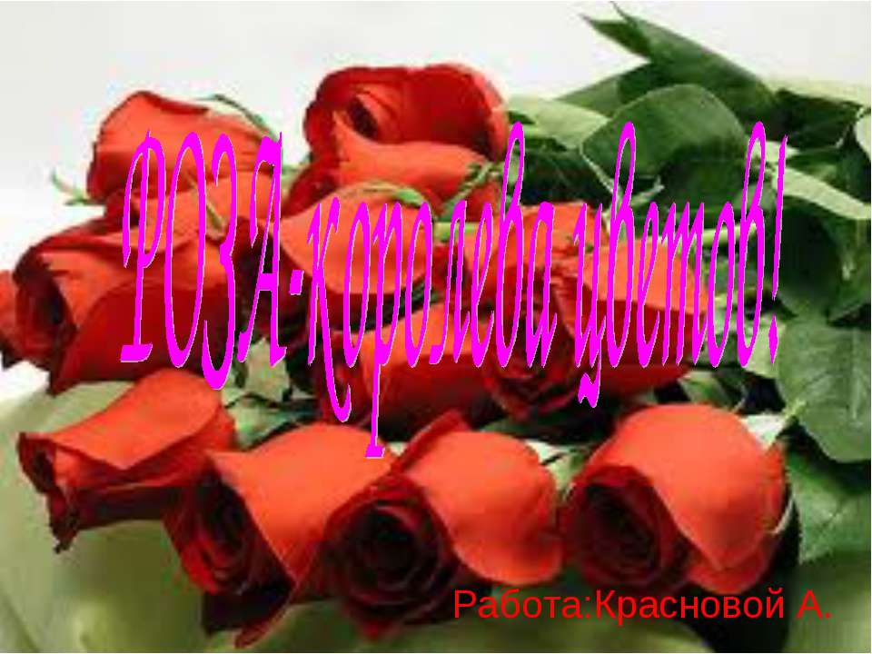 Роза-королева цветов! - Скачать презентации бесплатно ☑ Презентации по предметам на gdz-books.ru