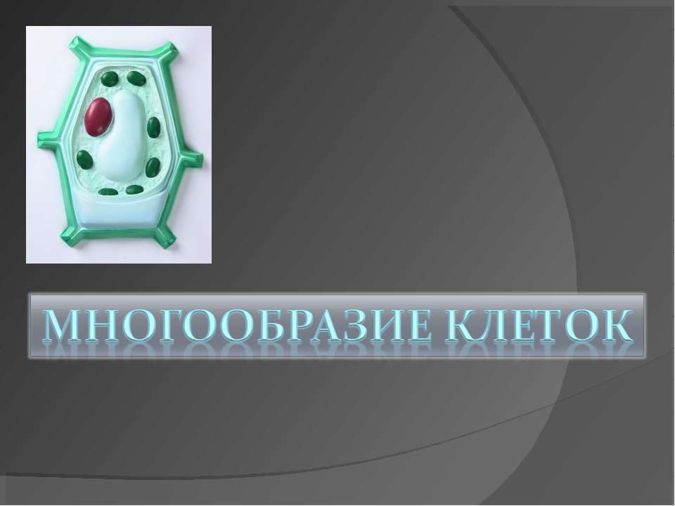 Многообразие клеток  - Скачать презентации бесплатно | Читать или скачать учебники для школы онлайн бесплатно ☑ Школьные учебники school-textbook.com