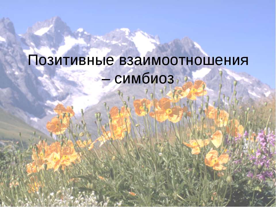 Позитивные взаимоотношения – симбиоз - Скачать презентации бесплатно ☑ Презентации по предметам на gdz-books.ru
