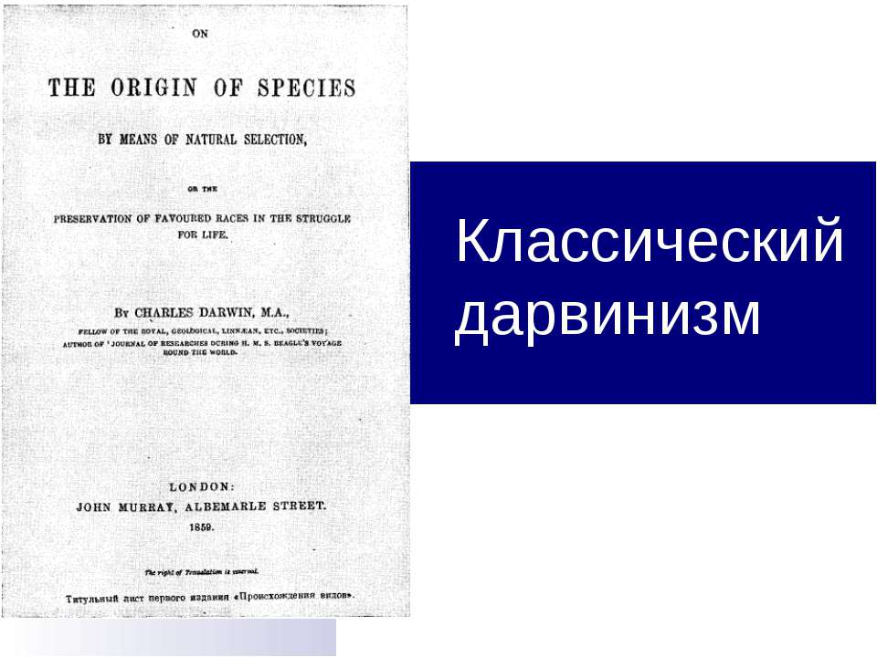 Классический дарвинизм - Скачать презентации бесплатно ☑ Презентации по предметам на gdz-books.ru