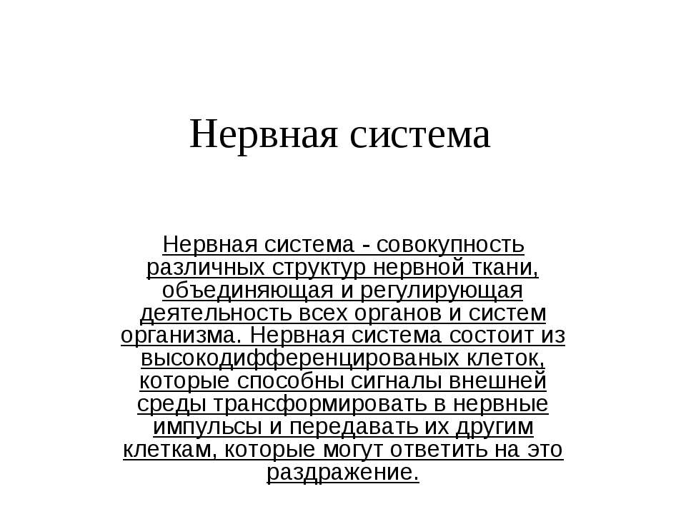 Нервная система  - Скачать презентации бесплатно | Читать или скачать учебники для школы онлайн бесплатно ☑ Школьные учебники school-textbook.com