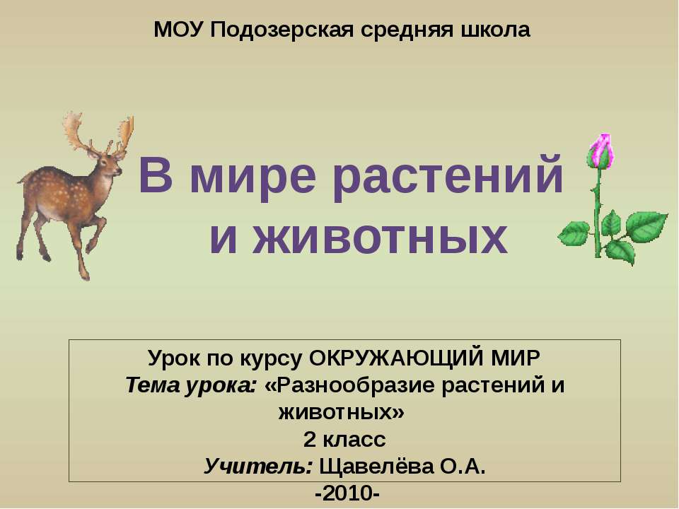 В мире растений и животных  - Скачать презентации бесплатно | Читать или скачать учебники для школы онлайн бесплатно ☑ Школьные учебники school-textbook.com