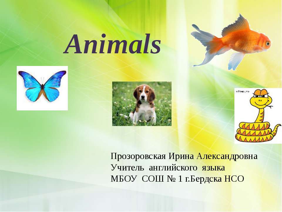 Animals - Скачать презентации бесплатно ☑ Презентации по предметам на gdz-books.ru