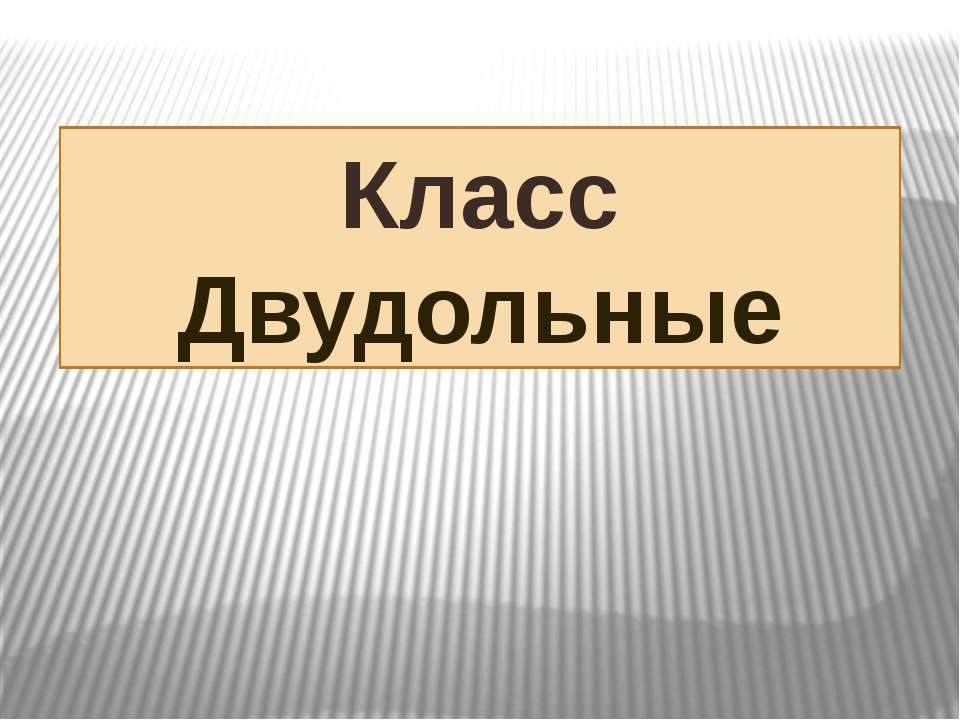 Класс Двудольные  - Скачать презентации бесплатно | Читать или скачать учебники для школы онлайн бесплатно ☑ Школьные учебники school-textbook.com