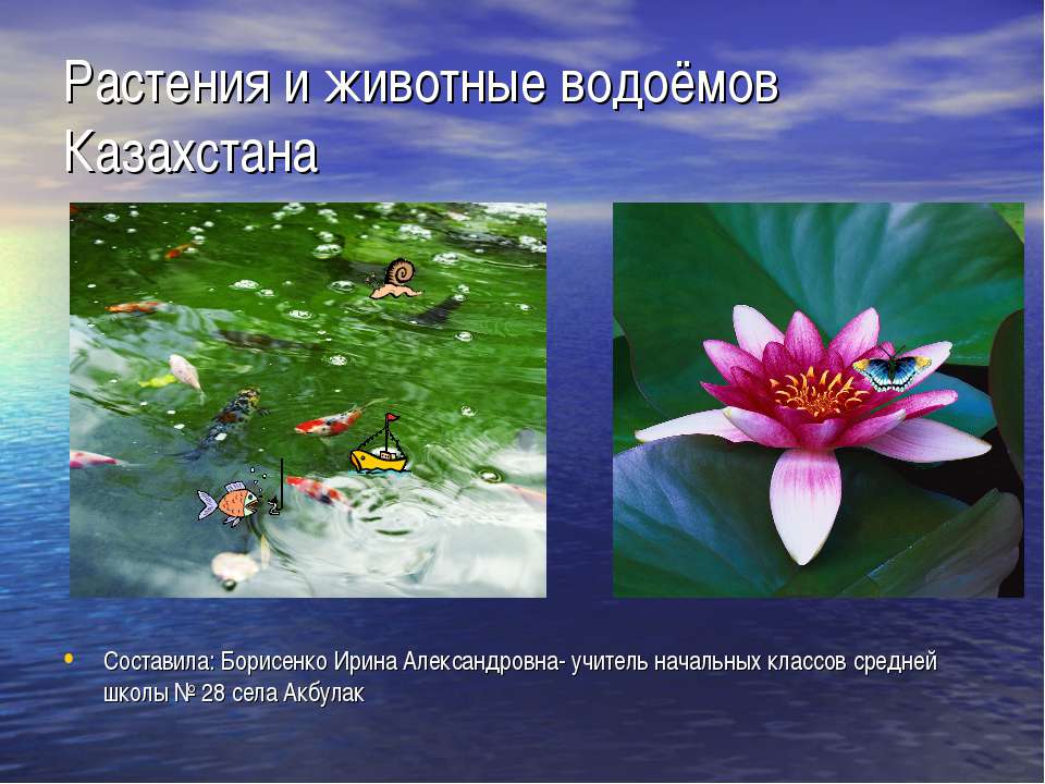 Растения и животные водоёмов Казахстана  - Скачать презентации бесплатно | Читать или скачать учебники для школы онлайн бесплатно ☑ Школьные учебники school-textbook.com