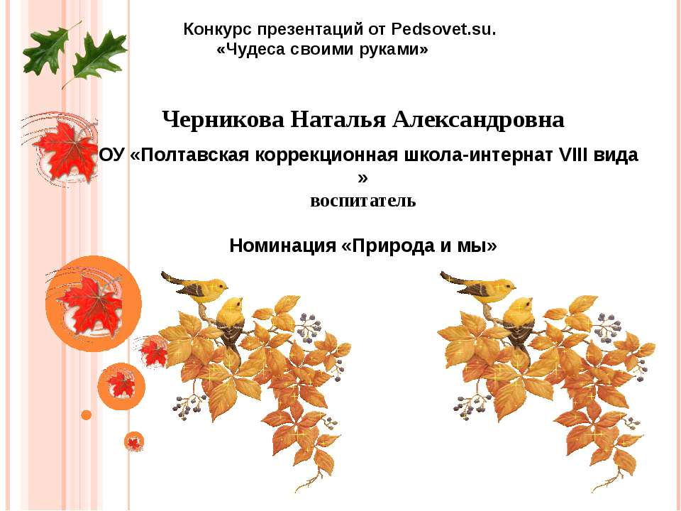 Природа и мы - Скачать презентации бесплатно ☑ Презентации по предметам на gdz-books.ru