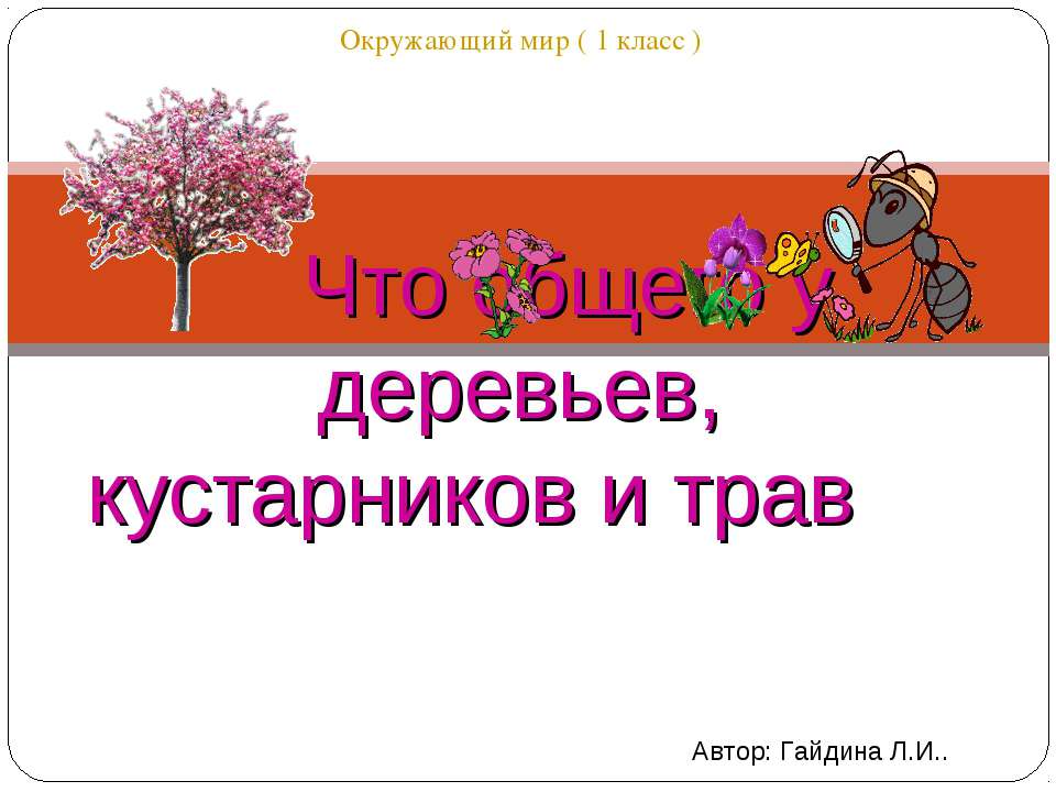 Что общего у деревьев, кустарников и трав  - Скачать презентации бесплатно | Читать или скачать учебники для школы онлайн бесплатно ☑ Школьные учебники school-textbook.com