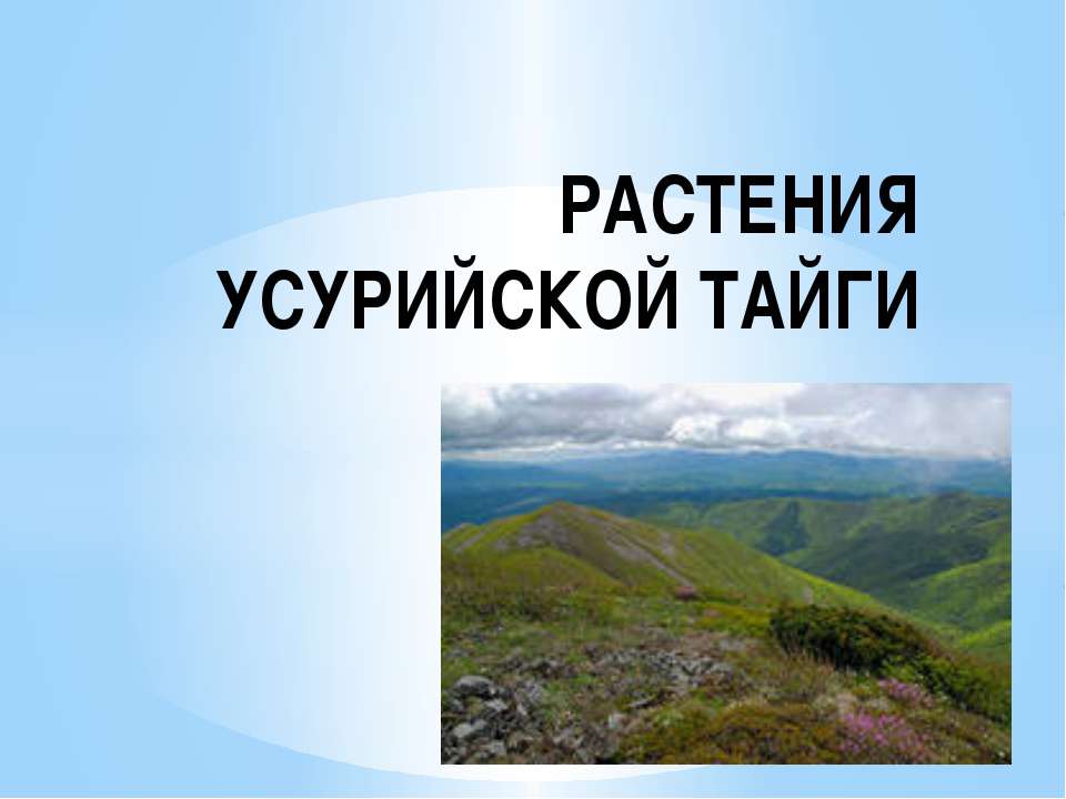Растения Уссурийской Тайги  - Скачать презентации бесплатно | Читать или скачать учебники для школы онлайн бесплатно ☑ Школьные учебники school-textbook.com