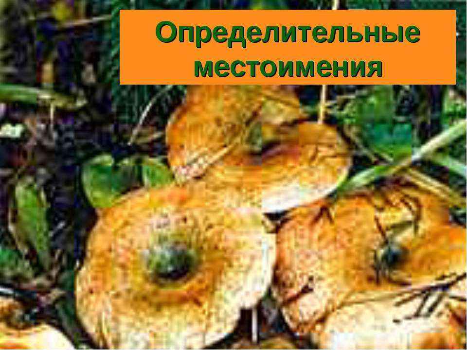 Определительные местоимения  - Скачать презентации бесплатно | Читать или скачать учебники для школы онлайн бесплатно ☑ Школьные учебники school-textbook.com