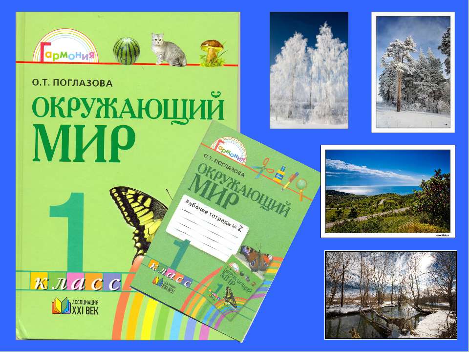В лес по грибы  - Скачать презентации бесплатно | Читать или скачать учебники для школы онлайн бесплатно ☑ Школьные учебники school-textbook.com