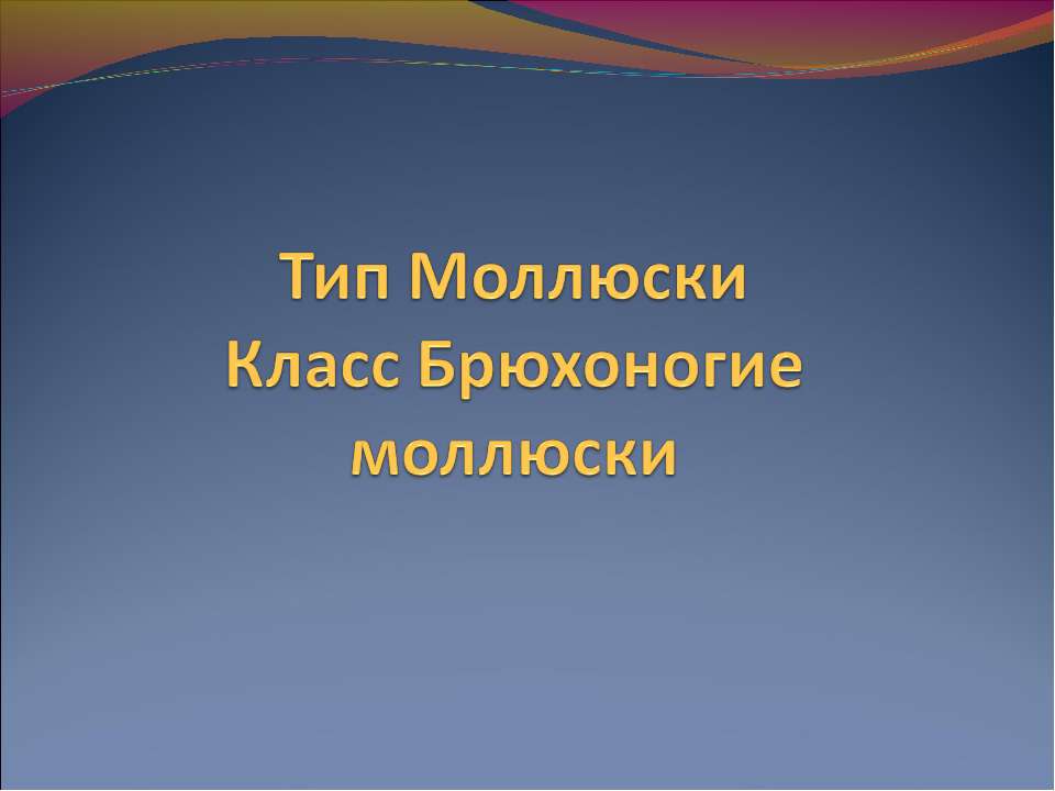 Тип Моллюски Класс Брюхоногие моллюски - Скачать презентации бесплатно ☑ Презентации по предметам на gdz-books.ru