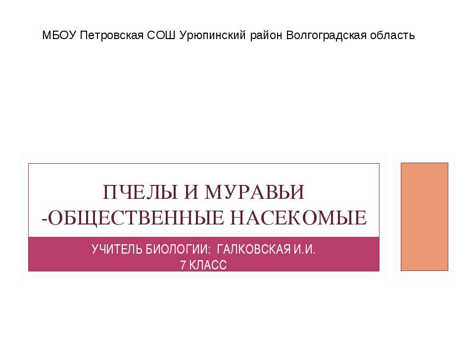 Пчелы и муравьи - общественные насекомые  - Скачать презентации бесплатно | Читать или скачать учебники для школы онлайн бесплатно ☑ Школьные учебники school-textbook.com