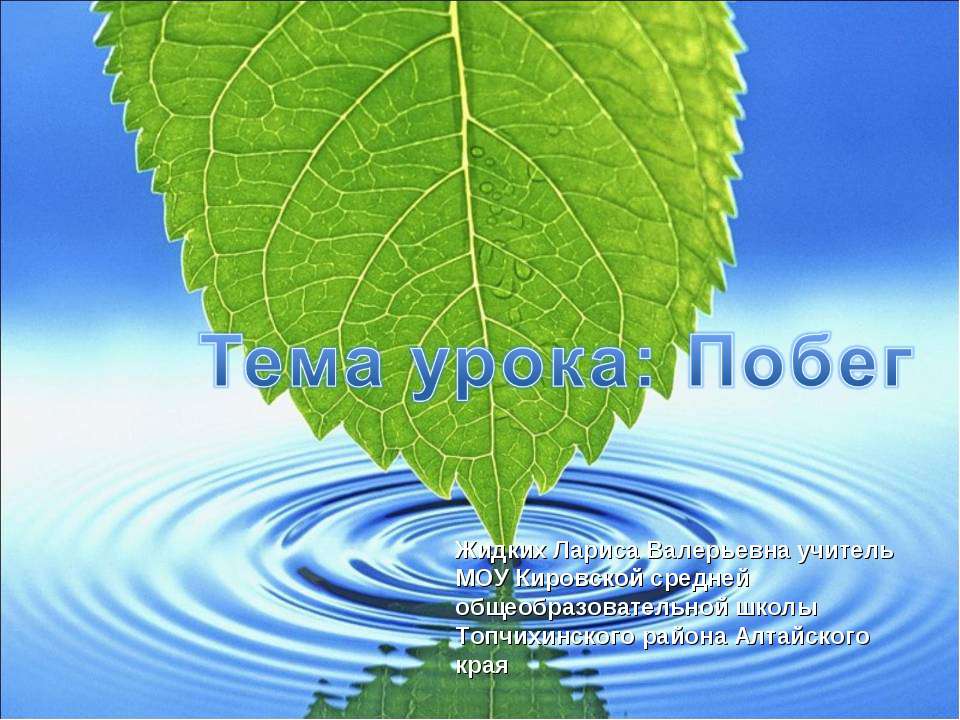 Корень.строение и функции.  - Скачать презентации бесплатно | Читать или скачать учебники для школы онлайн бесплатно ☑ Школьные учебники school-textbook.com