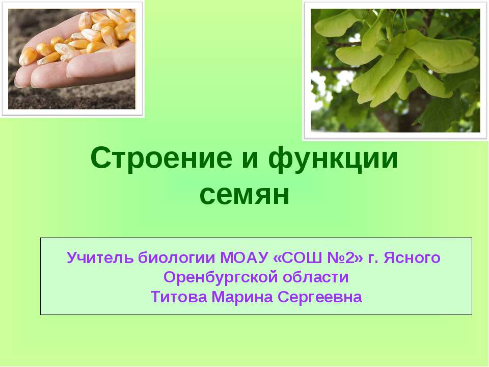 Строение и функции семян  - Скачать презентации бесплатно | Читать или скачать учебники для школы онлайн бесплатно ☑ Школьные учебники school-textbook.com