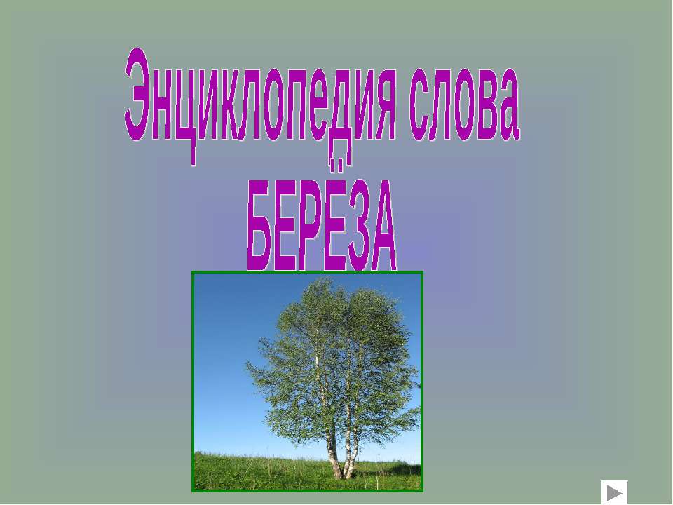 Энциклопедия слова Берёза  - Скачать презентации бесплатно | Читать или скачать учебники для школы онлайн бесплатно ☑ Школьные учебники school-textbook.com