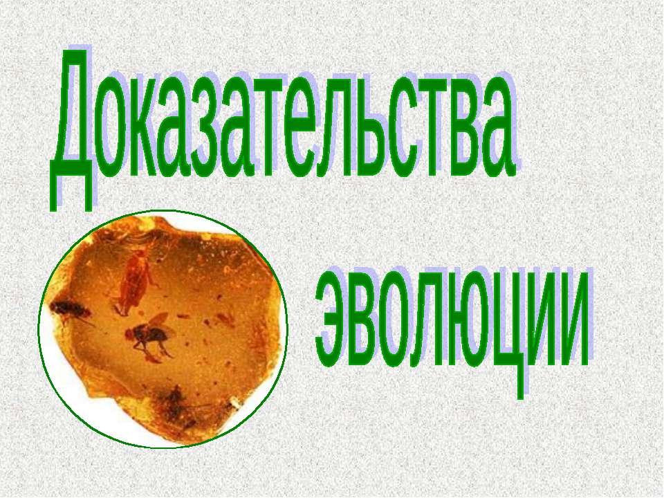 Доказательства эволюции  - Скачать презентации бесплатно | Читать или скачать учебники для школы онлайн бесплатно ☑ Школьные учебники school-textbook.com