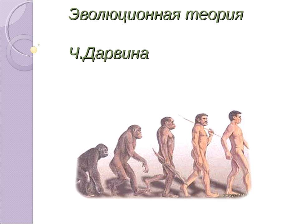 Эволюционная теория Ч.Дарвина - Скачать презентации бесплатно ☑ Презентации по предметам на gdz-books.ru