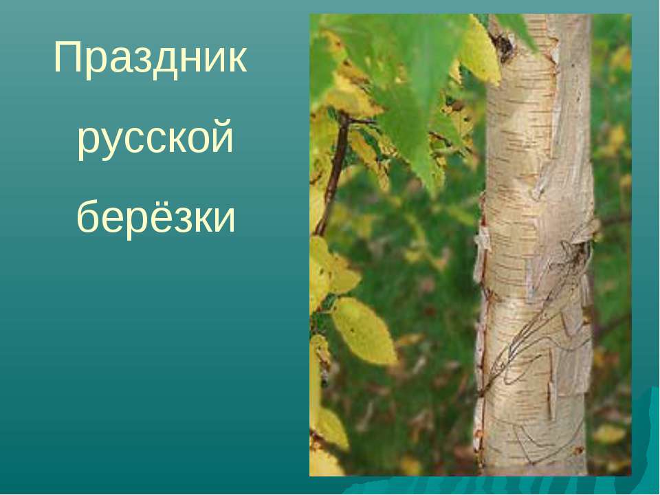 Праздник русской берёзки - Скачать презентации бесплатно ☑ Презентации по предметам на gdz-books.ru