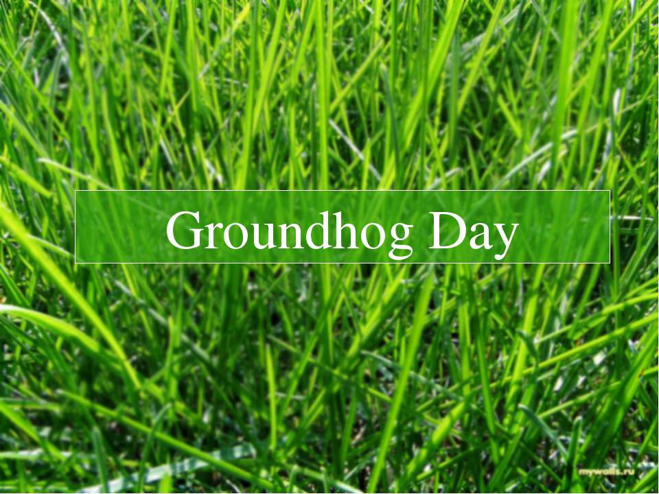 Groundhog Day - Скачать презентации бесплатно ☑ Презентации по предметам на gdz-books.ru
