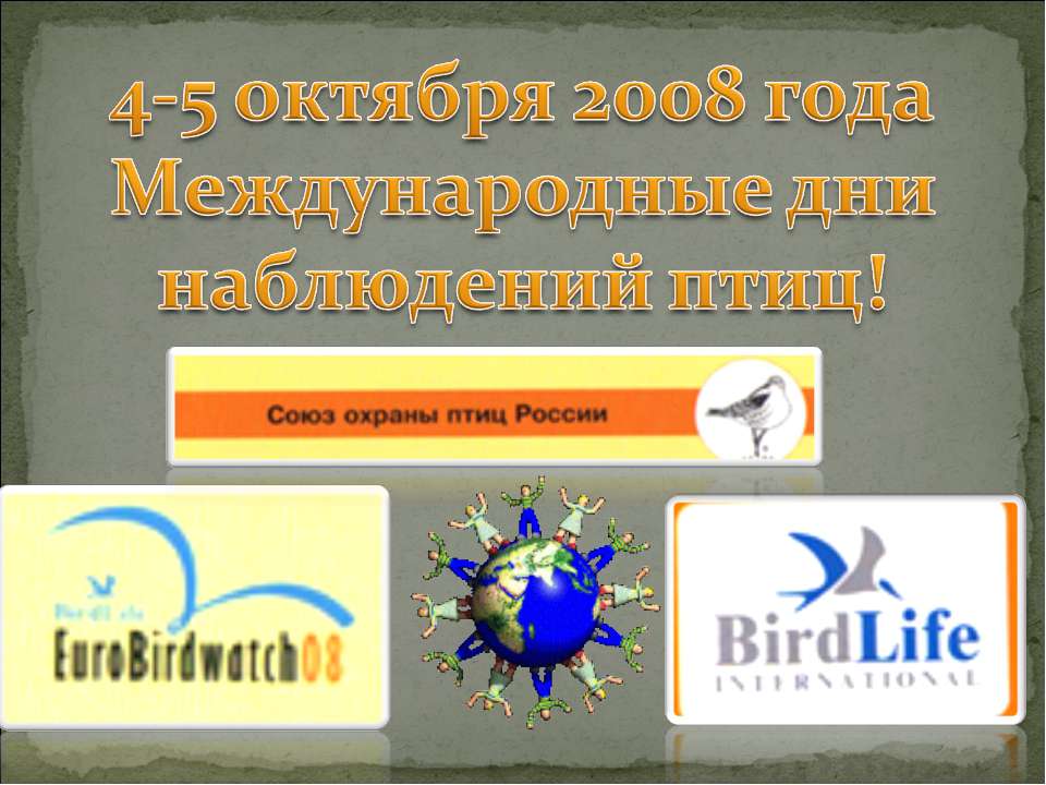 4-5 октября 2008 года Международные дни наблюдений птиц! - Скачать презентации бесплатно ☑ Презентации по предметам на gdz-books.ru